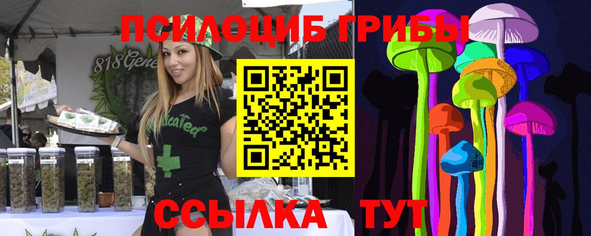 Псилоцибиновые грибы Cubensis  Вход с VPN  Бугульма 