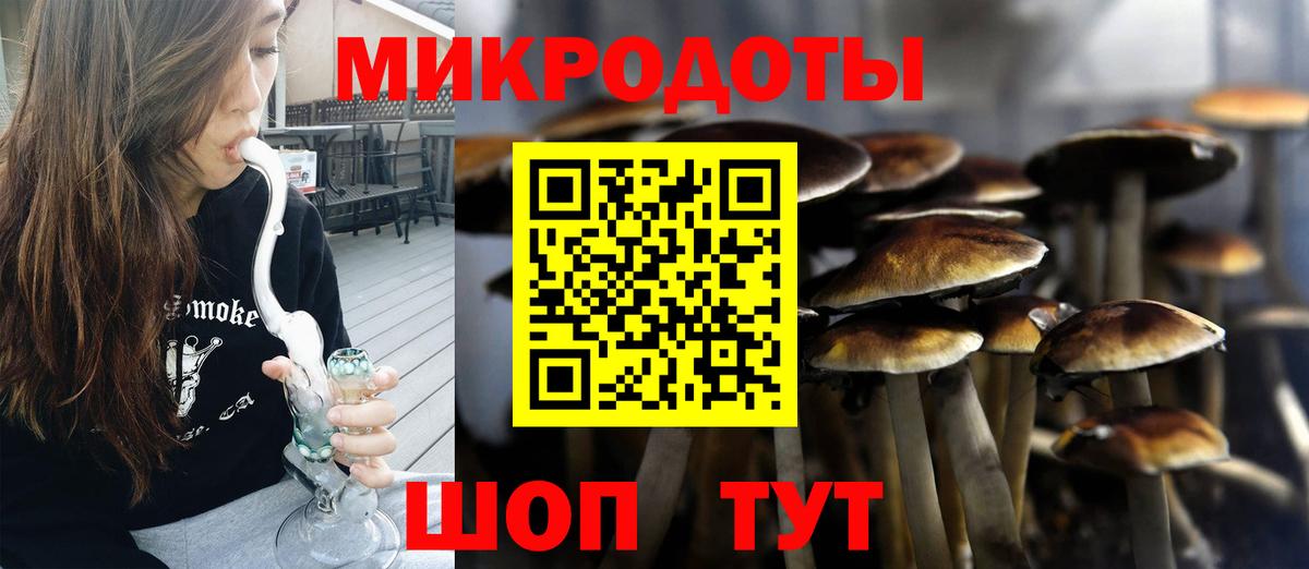 Псилоцибиновые грибы ЛСД Бугульма